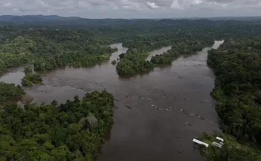 Amazon rainforest thumbnail