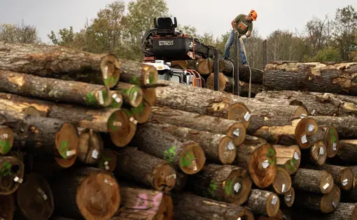 Logging