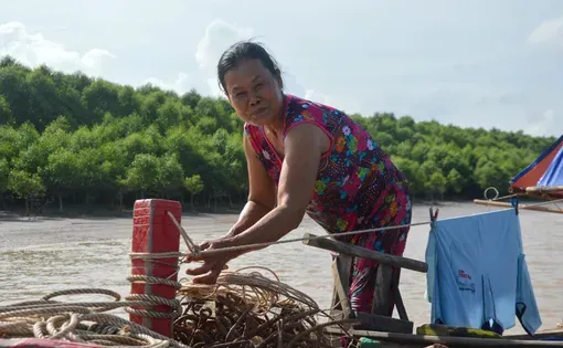 Mekong thumbnail