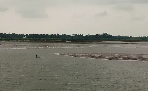 A shrinking water body on the road to Ikuru in Rivers State, where fishermen still cast their nets, is a sign of the climate crisis compounding other threats (including piracy) facing Nigeria's fishers.