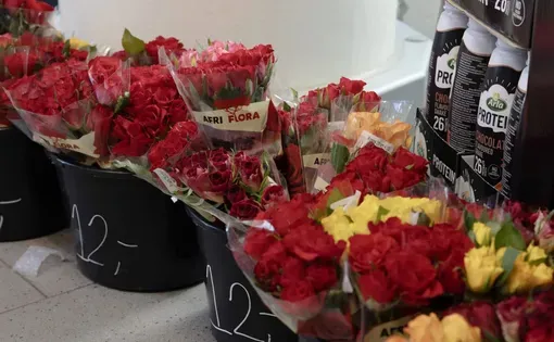 Roses