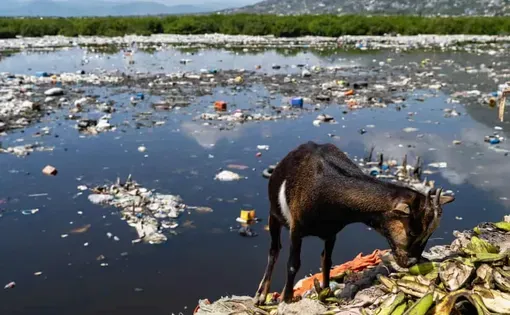 Rubbish piles the shoreline outside Cap Haïtien. Cities are struggling to run services such as waste management amid the influx of people. Image by Victor Raison. Haiti.