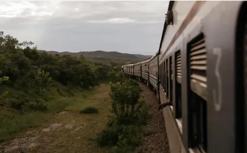 Tazara thumbnail