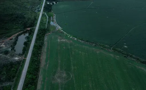 A road cutting through the image