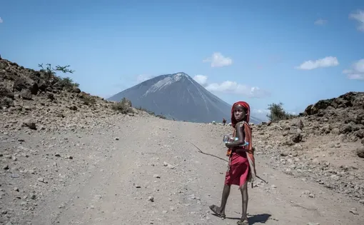 Un jeune éleveur massaï marche avec ses chèvres en direction de la «  Montagne de Dieu  », Ol’Doinyo Lengai pour les Massaïs, volcan actif qui s’élève près du village d’Engaresero, au pied du lac Natron.
