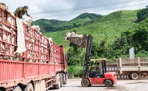 Workers load processed rubber at a Chinese-owned factory in Long District, northern Luang Namtha Province, Laos. The rubber industry in northern Laos is largely shaped by contract farming schemes with Chinese rubber companies. Image by Thanh Hue.