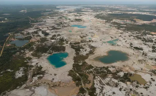 Illegal tin mining operations are fragmenting the forest landscapes and river systems across Central Bangka Regency. These terrestrial mining activities frequently devastate critical ecosystems, particularly riverine corridors that harbor significant tin deposits. Photo by Nopri Ismi.