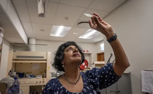 By looking at thin slices of crocodile bones, University of Cape Town paleobiologist Anusuya Chinsamy-Turan has concluded that researchers may have been overestimating some dinosaur ages. "It changes how we think about dinosaur growth," she says.