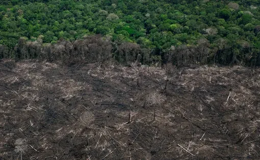 Área desmatada em trecho da rodovia AM-366, no município de Tapauá (AM). A abertura da estrada, feita sem o devido licenciamento ambiental, impulsionou a ocupação de terrenos ao longo da via para moradia, plantio e criação de gado. imagem por Henrique Santana/Folhapress.