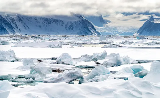 Ice in the Arctic