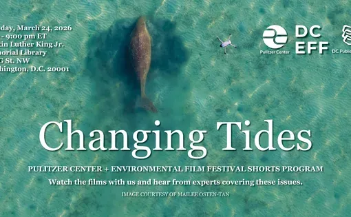 DCEFF2026: 'Changing Tides' superimposed over an image of a dugong