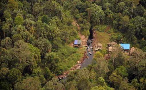 Aerial view of the Riau Ecosystem Restorration
