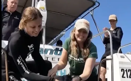 Indigenous Rangers and Scientists Working To Care for Turtles
