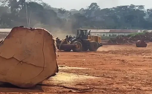 Logging story thumbnail