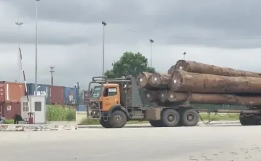 Truck logs thumbnail
