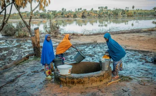 Girls fetching water from the contaminated well in the Yusufari area of Yobe State. Photo: HumAngle.
