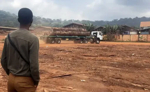 A man wearing a green shirt and brown pants watches a truck carrying logs.