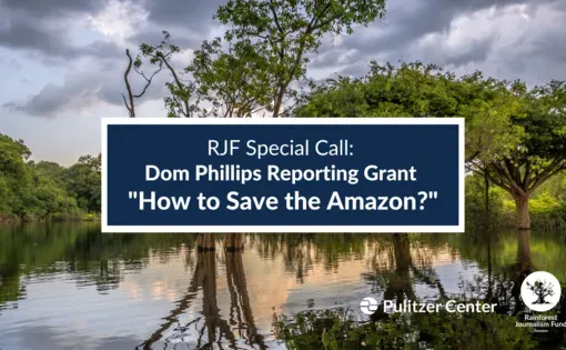 How to save the Amazon