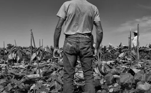 farmer