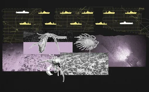 Deep sea mining