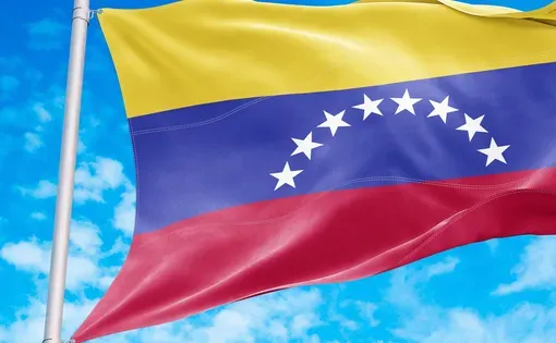Venezuela flag