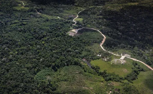 Vista aérea de trecho do ramal Barbary, estrada aberta no Acre para ligar os municípios de Cruzeiro do Sul e Porto Walter - Henrique Santana - 3.out.25/Folhapress