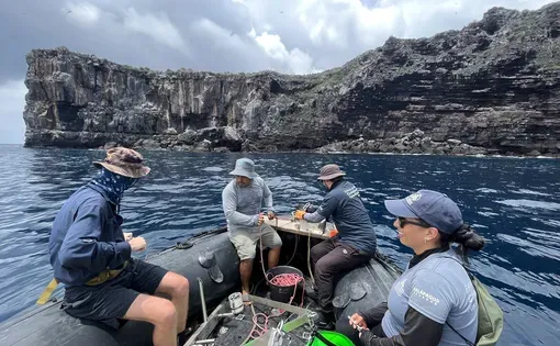 Scientists at work