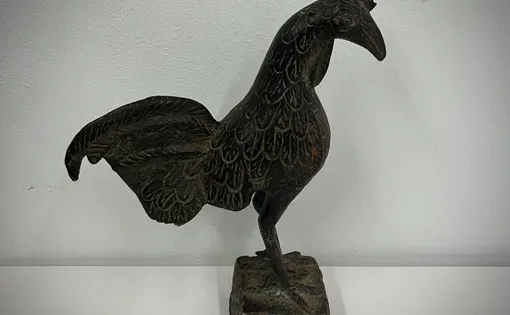 rooster thumbnail