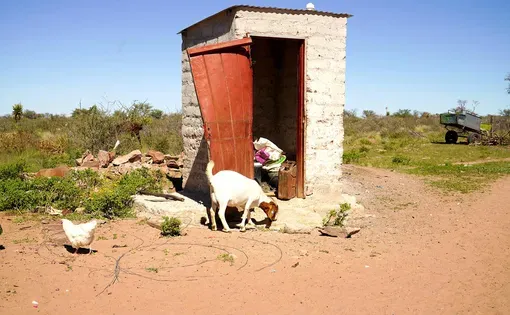 Sanitation toilet thumbnail