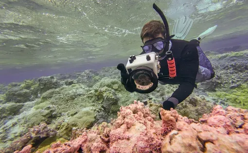 Sinking atoll