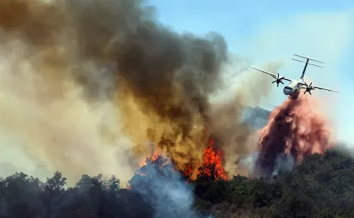 Wildfires thumbnail