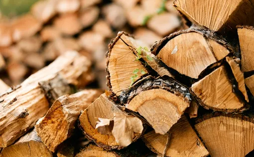 wood logs