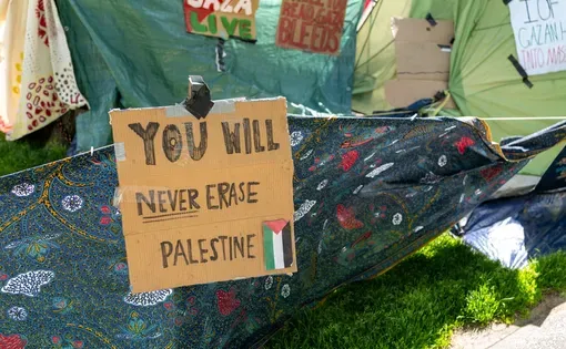 Palestine thumbnail