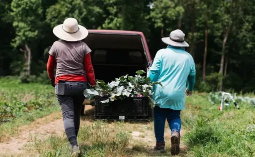 Many farmworkers wear long sleeves and hats to shield themselves from the scorching sun. Image by Mallory Cash. United States.