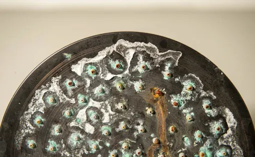 Jacob Pennington's showerhead.