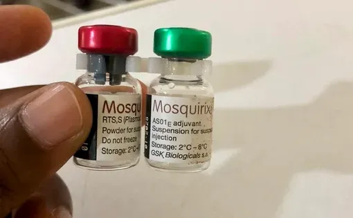 Malaria thumbnail