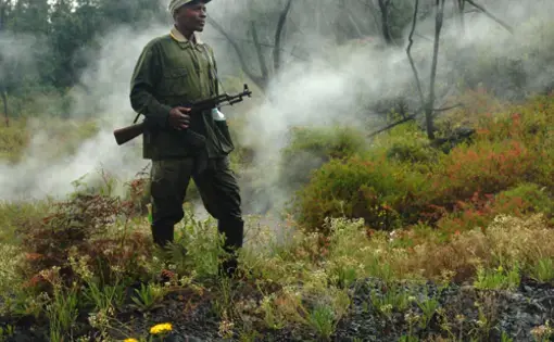 Congo Side of Virungas Mount Nyiragongo