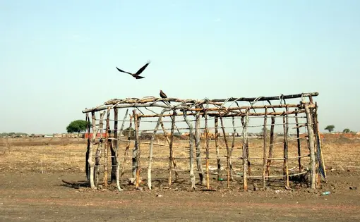 Tent frame in Abyei, Sudan, with a bird of prey, called a kite, launching from it.