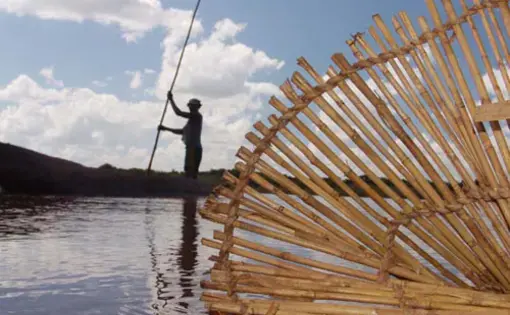 A boatman poles past a homemade fish trap on the Pungue River. 1