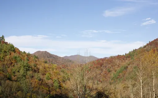 The Appalachian Mountain range (pictured above) is the site of mountaintop removal, a controversial form of coal mining that has leveled mountains and raised resistance in Appalachia since the 1960s. Image by Gina Collecchia, Flickr. United States, 2011. Media file: Appalachian-mountains-appalachia-virginia.png