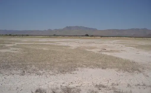 Media file: Chihuahua drought 037.JPG