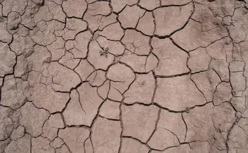 Media file: Chihuahua drought 047.JPG