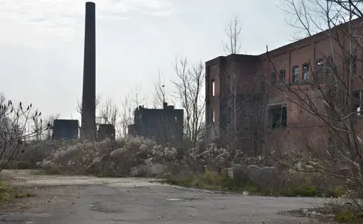 Media file: DPK_4742.JPG