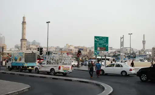 Media file: DSC_0729.JPG