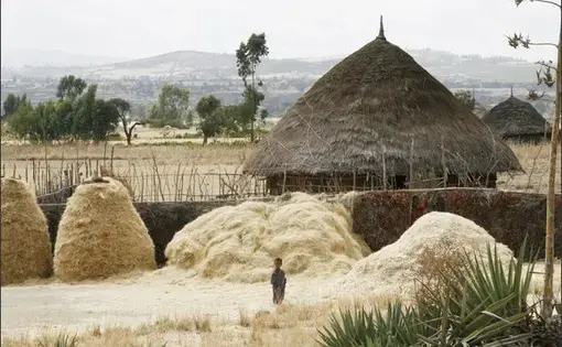 Media file: Ethiopia_3.JPG