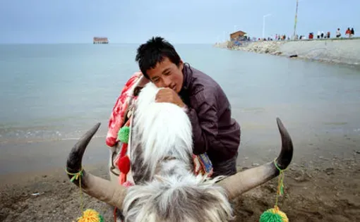 Sean Gallagher's photograph from his reporting on the wetlands of China