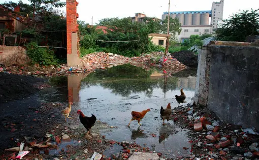Flooding of Dongting Lake in Hunan Province has pushed water onto industrial land in nearby Yueyang city resulting in contamination of the water. China. Sean Gallagher, 2010.