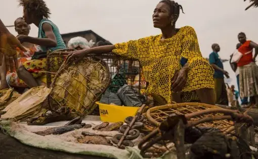 Congo, 2019. Image by Hugh Kinsella Cunningham.