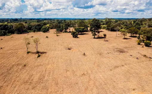 A patch of degraded pasture near Carlos Andretti's farm. Andretti says it’s what his property looked like when he first bought it. Image by Sam Eaton. Brazil, 2018.