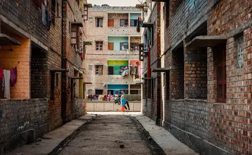 Image by Kiran Misra. India, 2019.